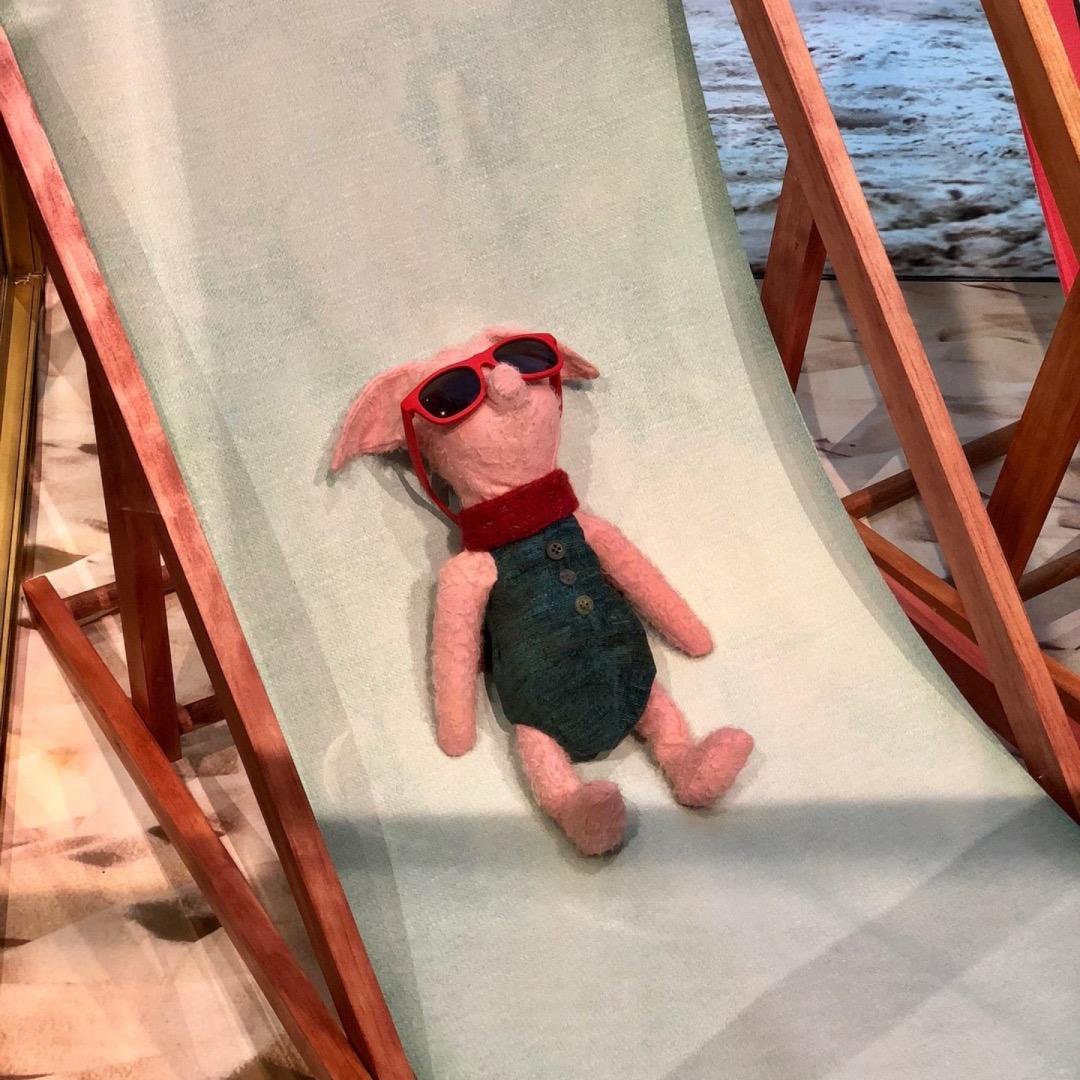 臭点是一只猫猫猫