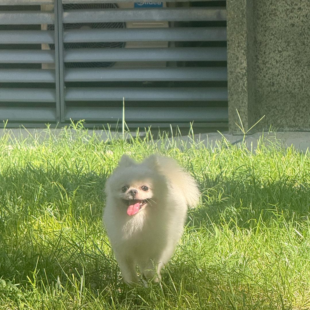 小宁同学