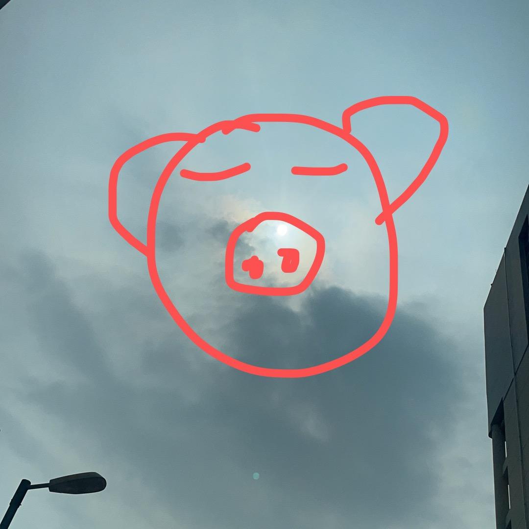 王  哪跑🔥🔥🔥