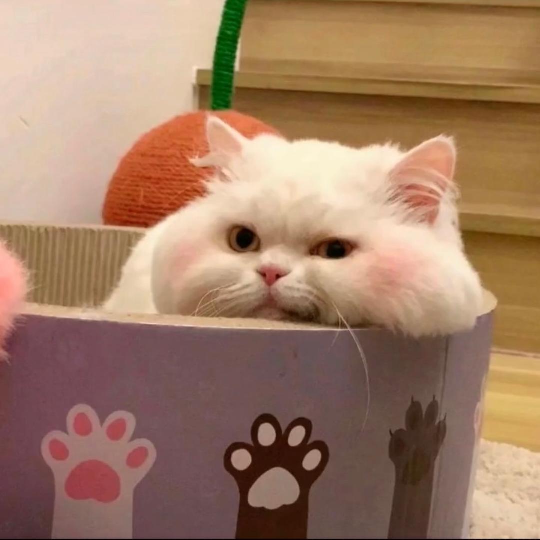 🌻🙈🍀六月