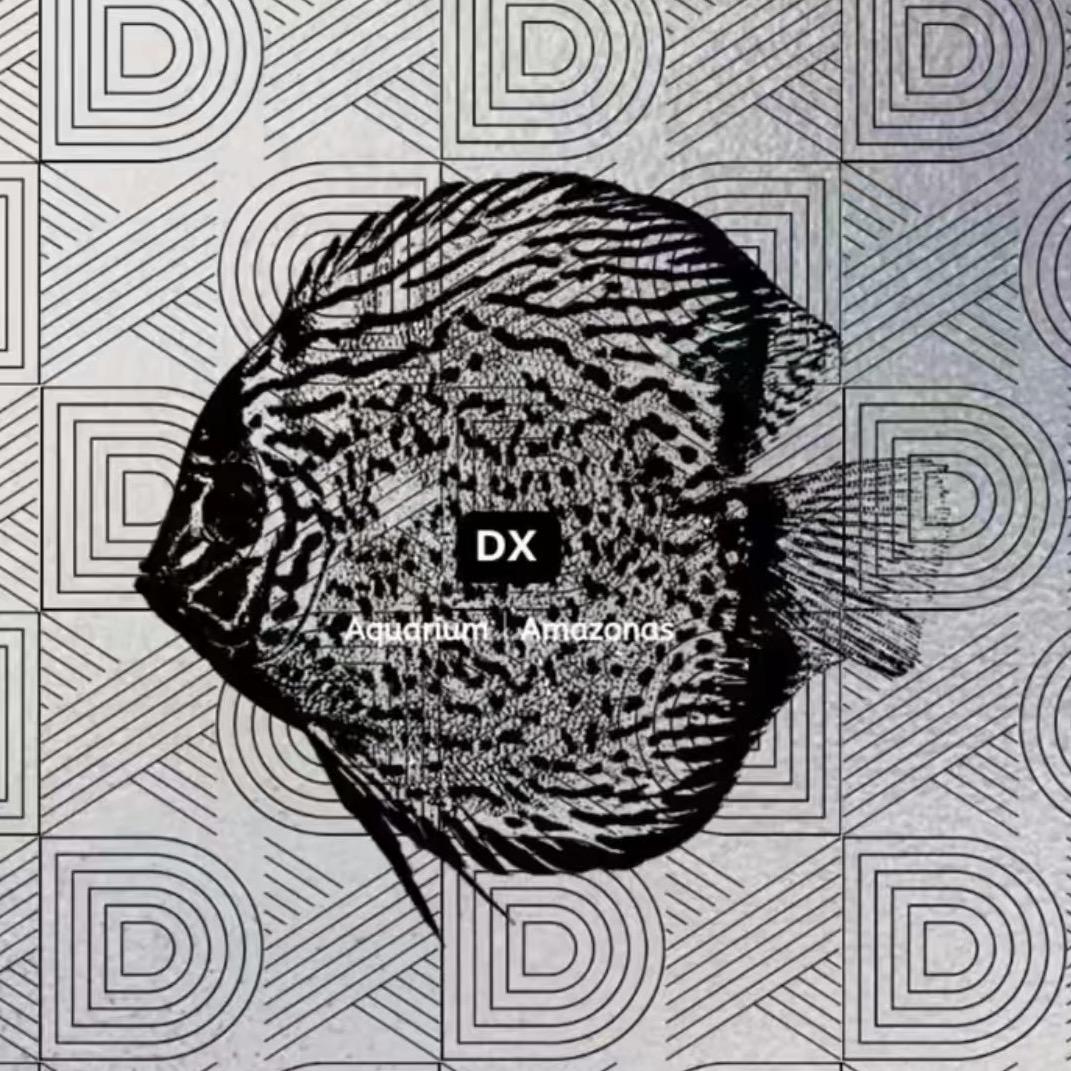 DX大熊野彩埃及