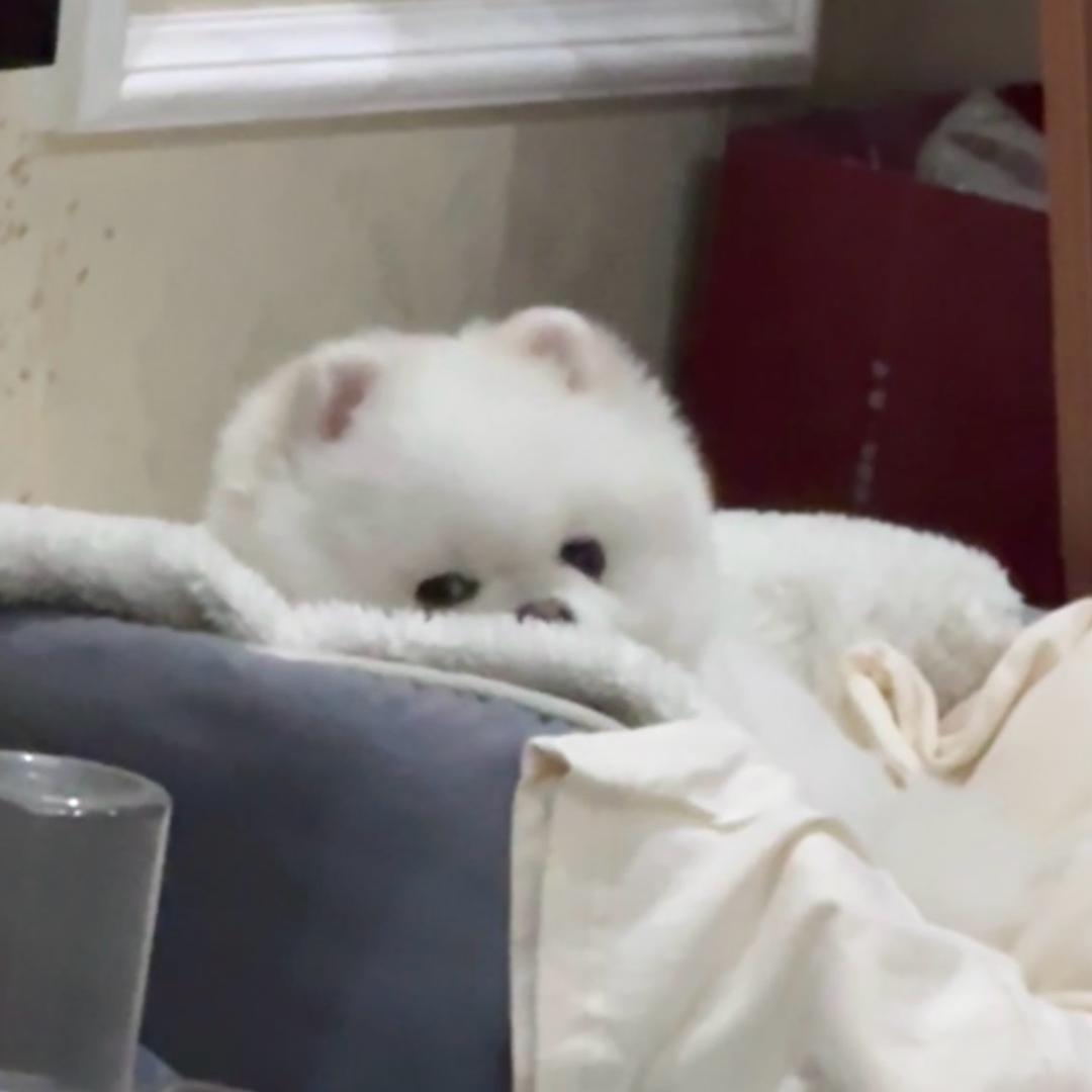 1。。。