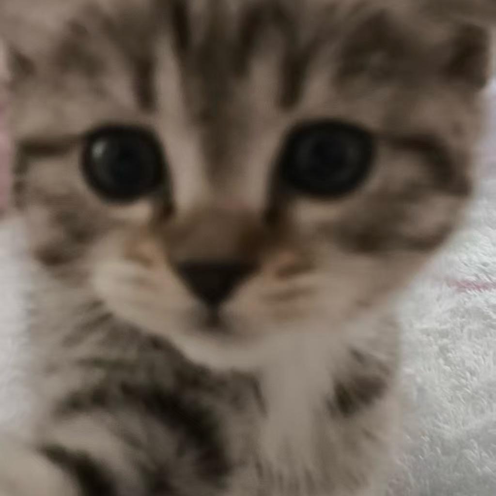 ⁺✞ʚ梧桐大帝ɞ✟₊