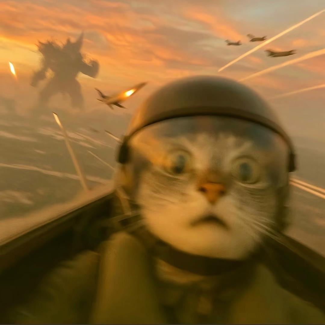 AAA_专业电棍批发羊哥