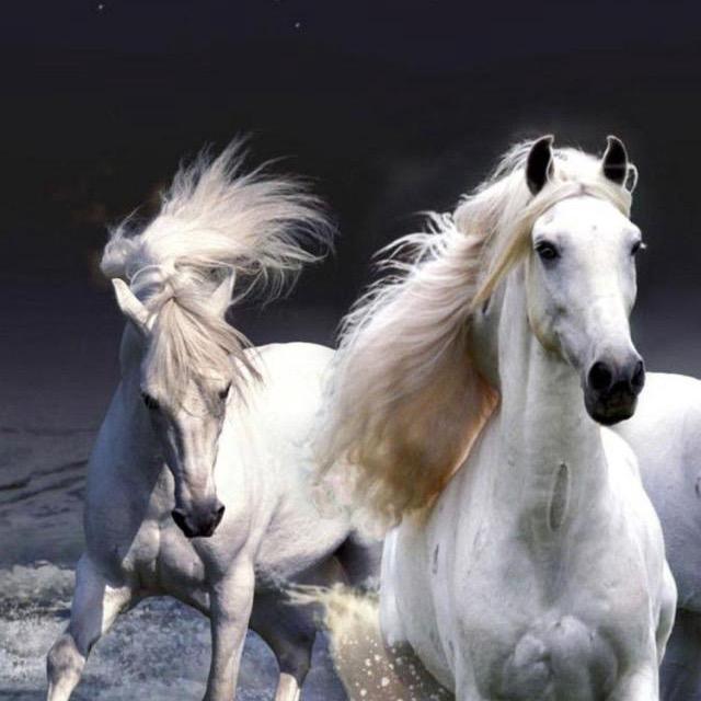 &…余生谋财…$