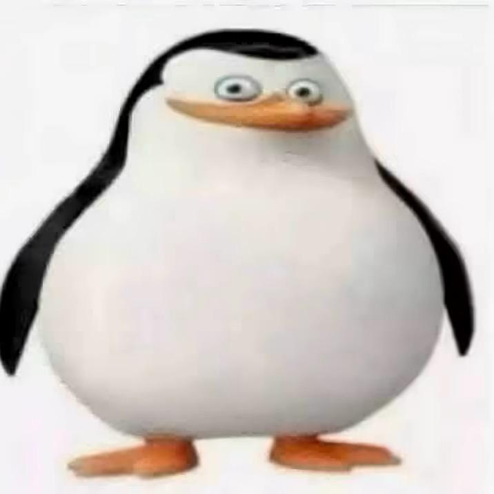 用户