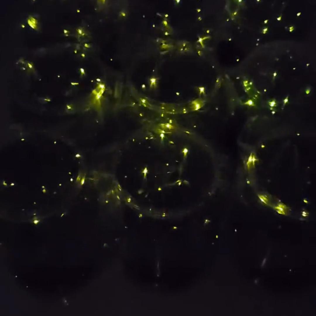 金福源便利店官方号