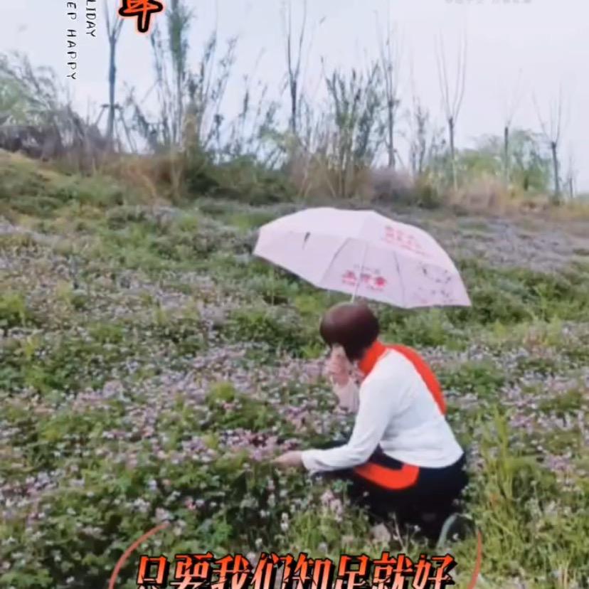 兰花花😍👧🏻🌱