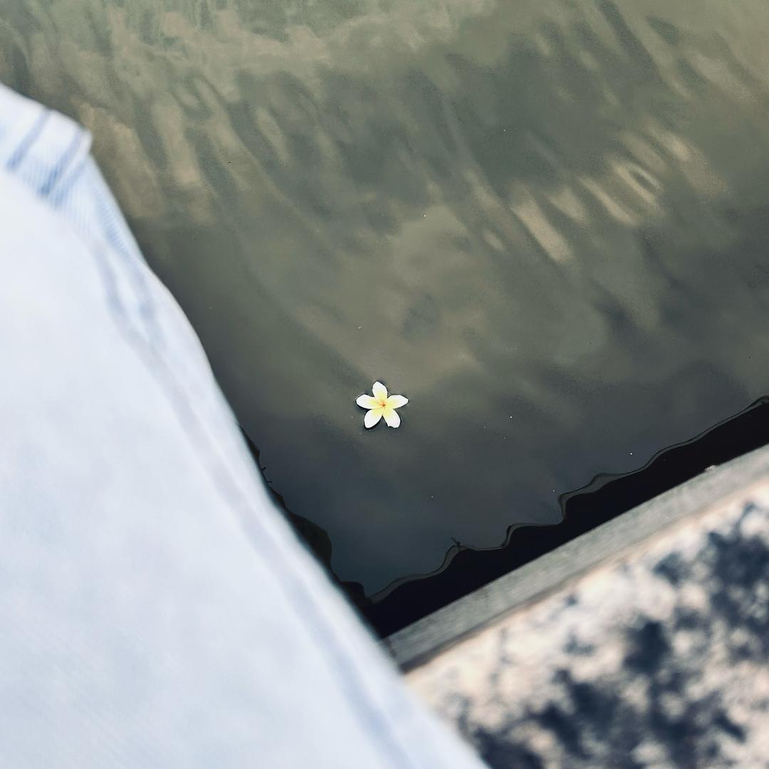 消化不良的午后