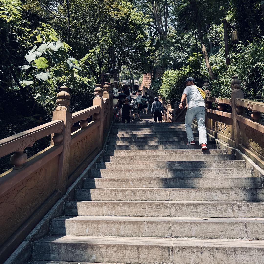馹桅