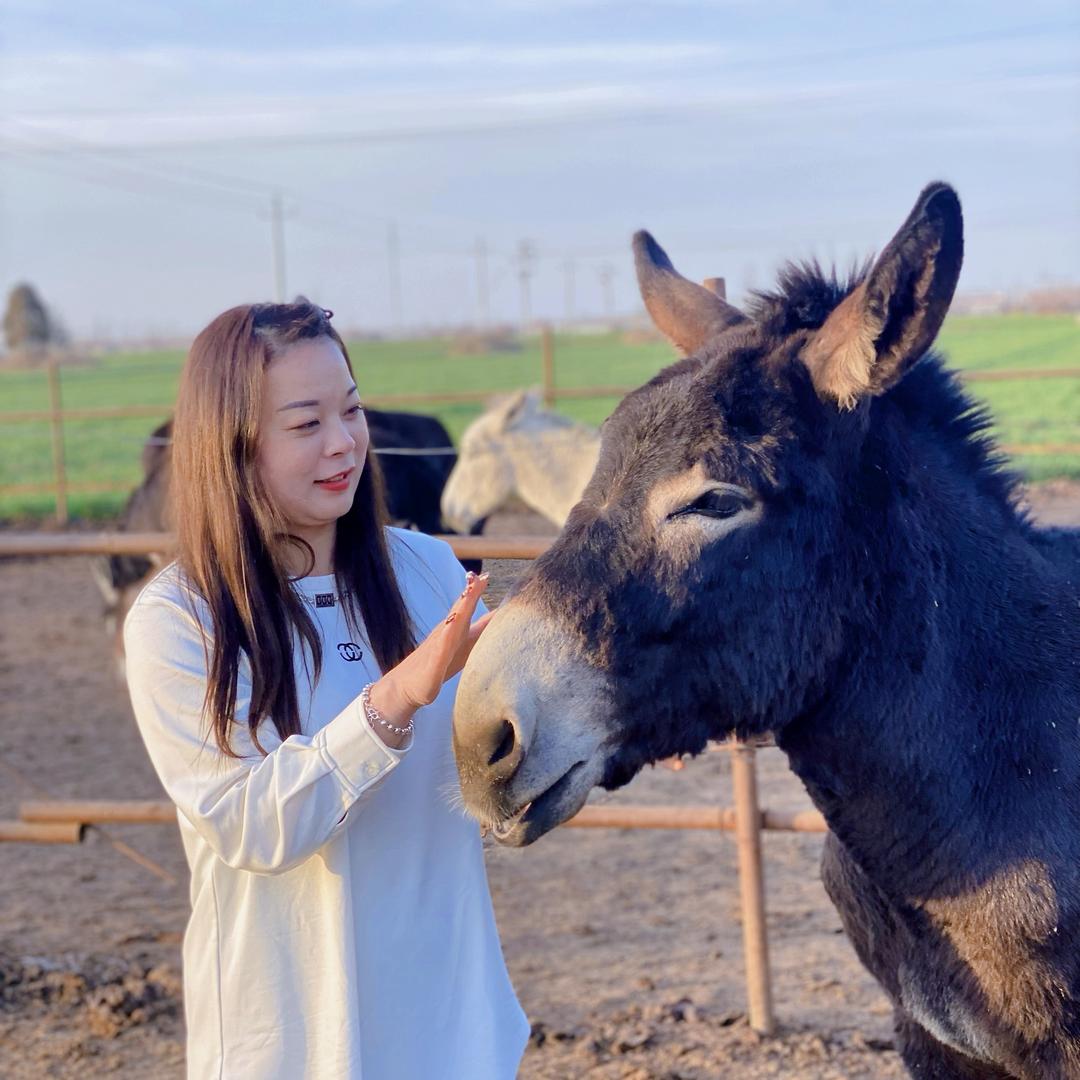 毛驴婶子（竹园驴肉馆全驴宴）