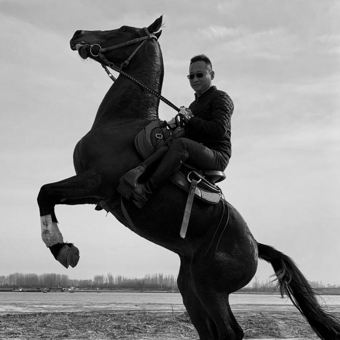 中原龙骧马术俱乐部-牛波