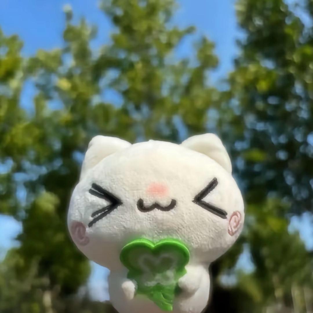 土豆块夹馍