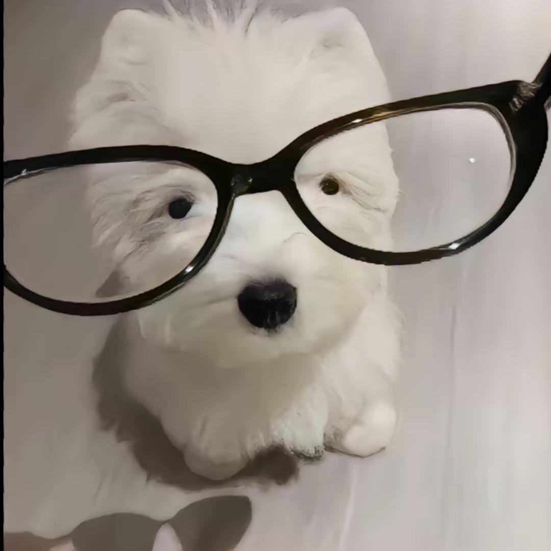 慢愿