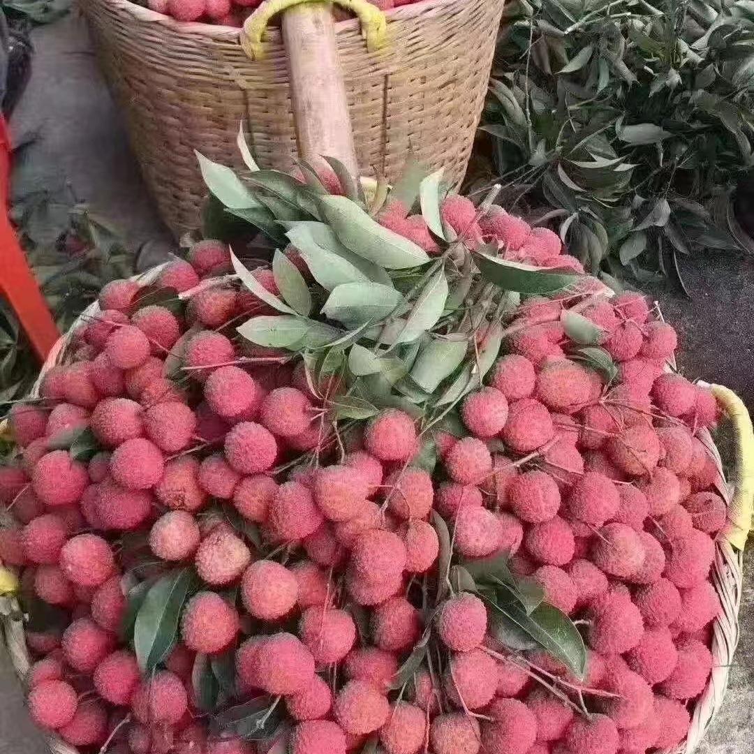 蜻蜓果蔬生鲜店