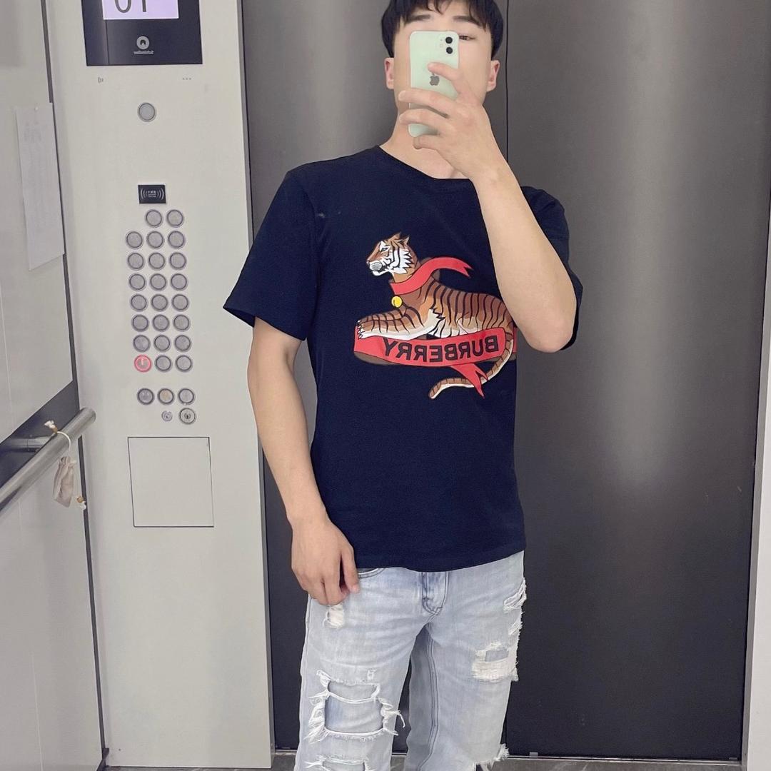 拾毅