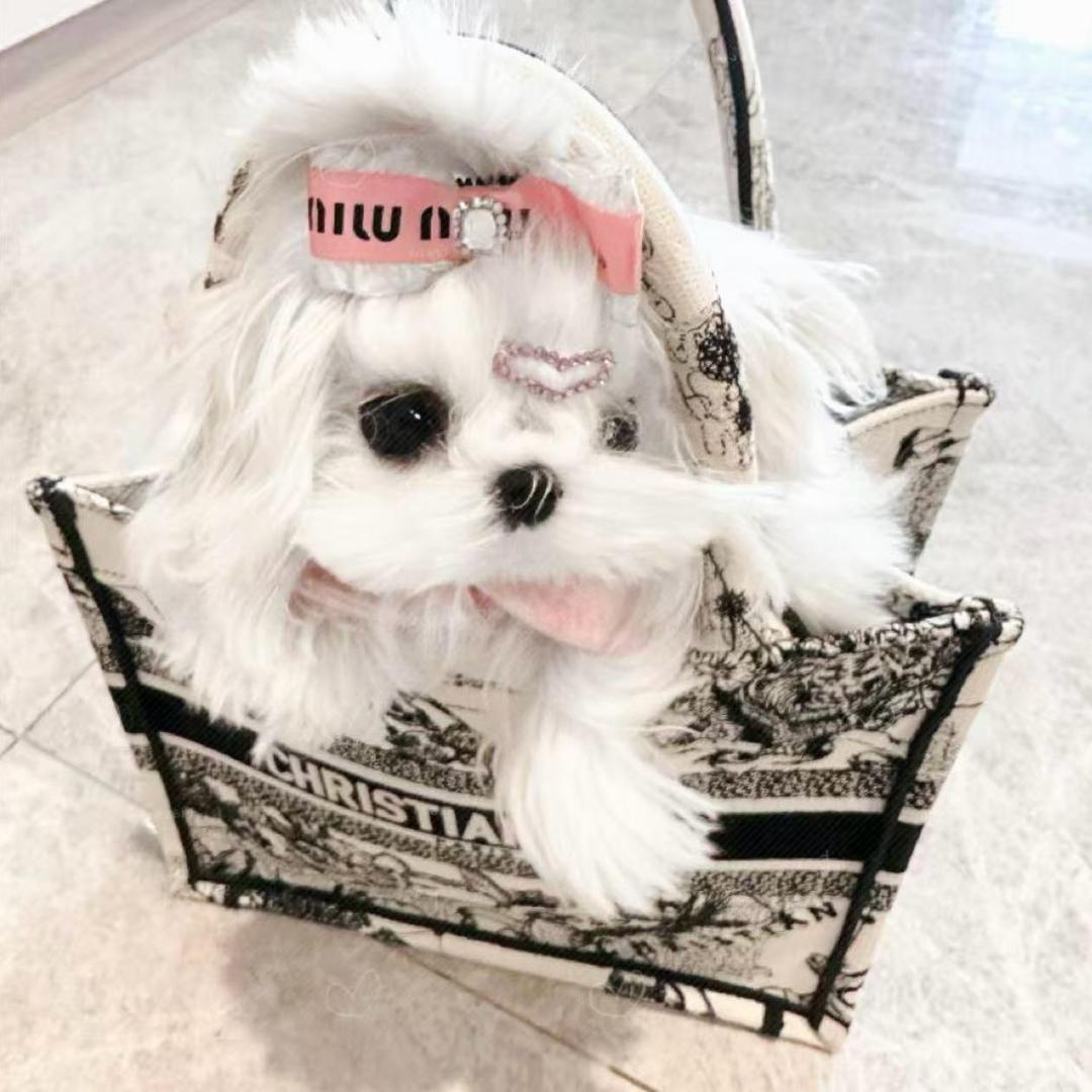 ，ㅤ