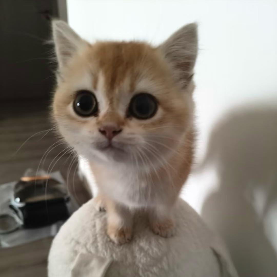 阿键呐