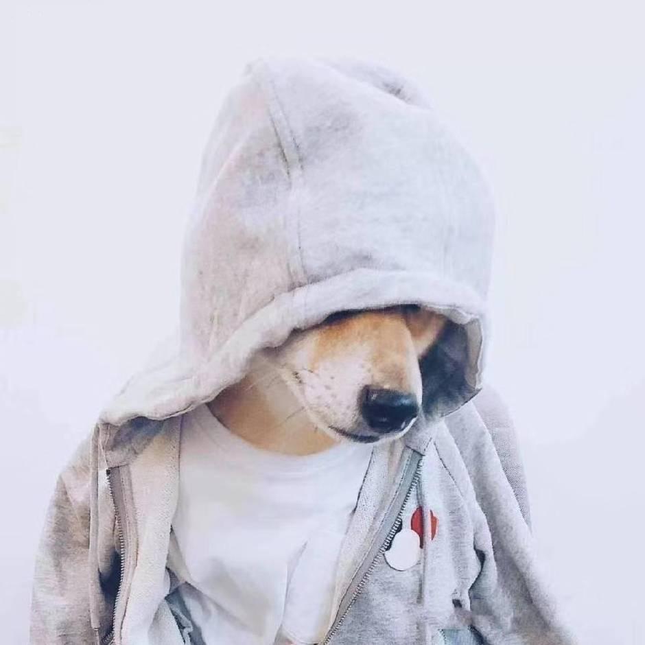 头孢呋人心～