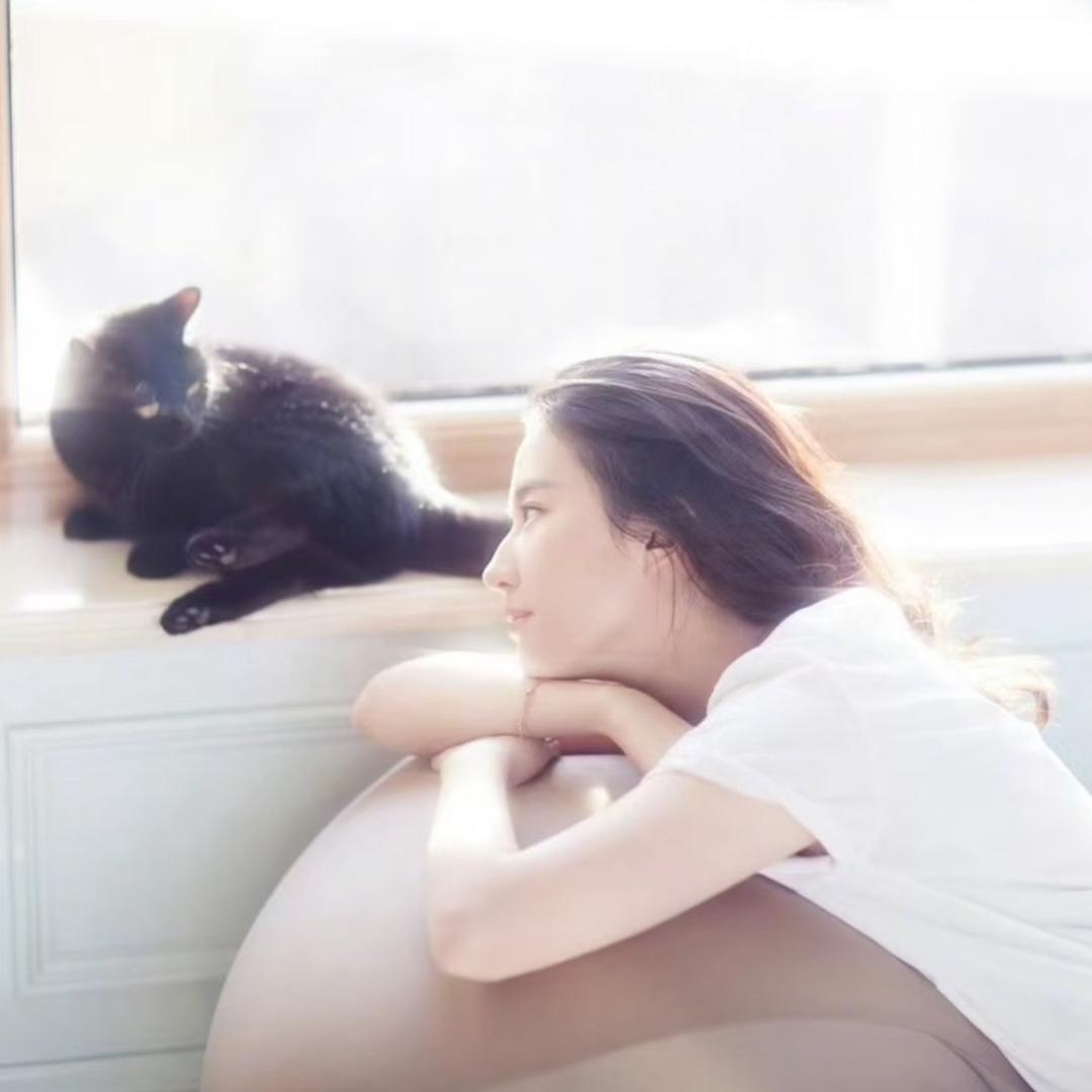 月野猫🐱
