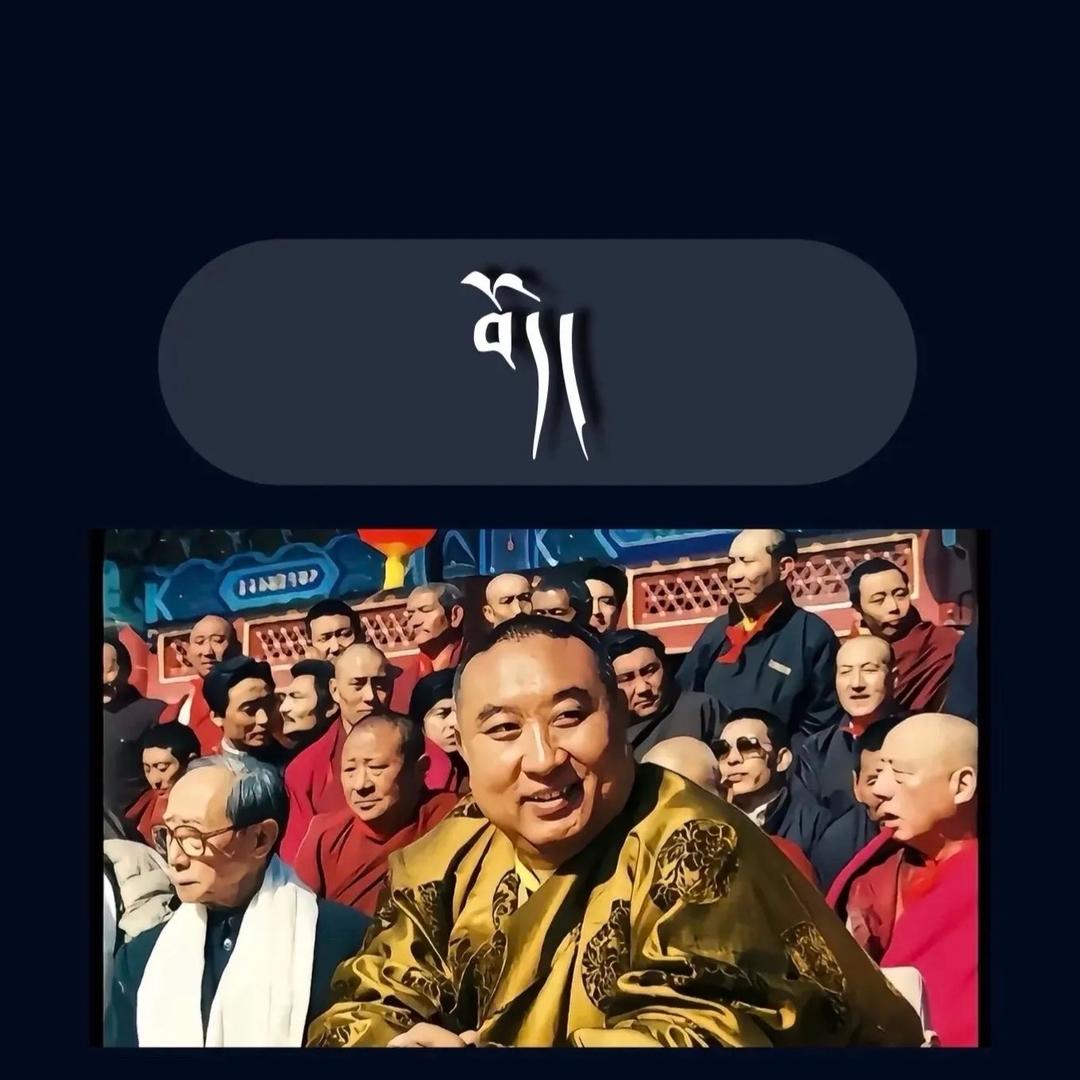 混的普🩵