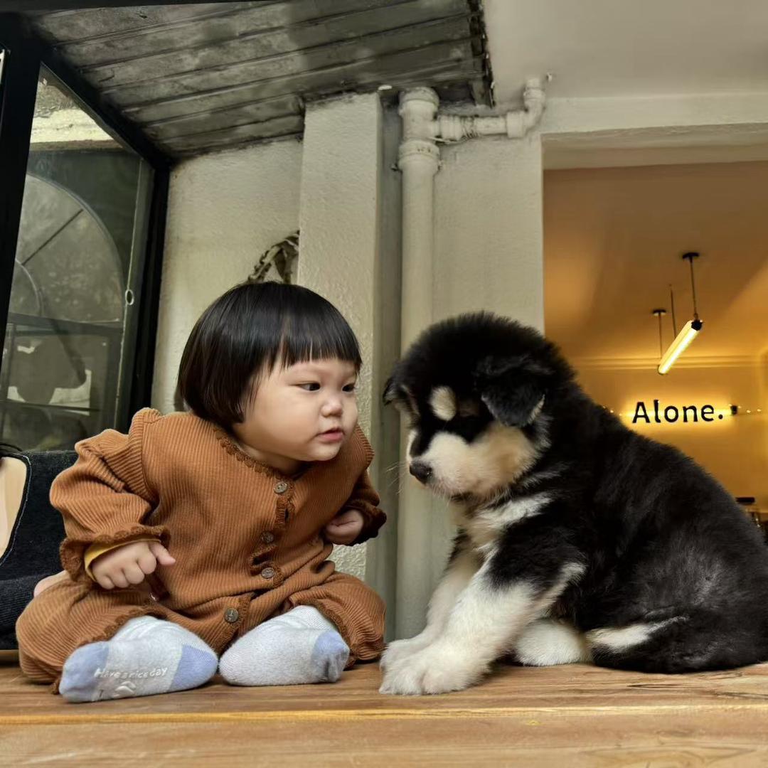 不知名的歪歪