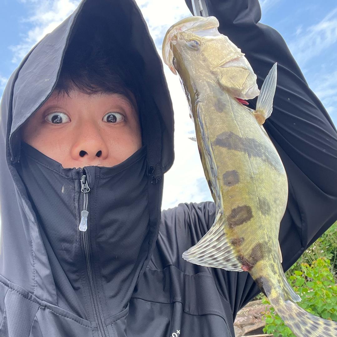 闫闫别打龟