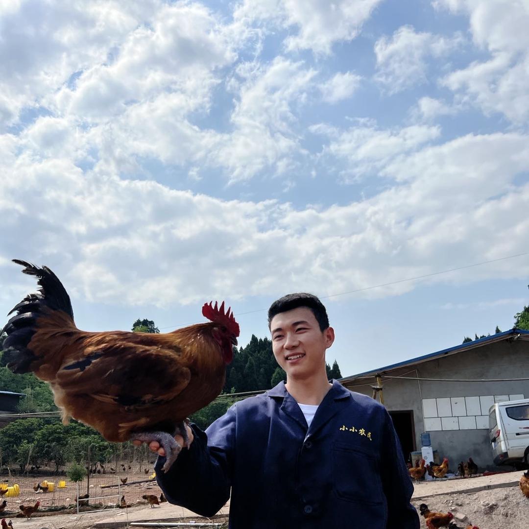 仁寿县鸡咕咕禽肉店