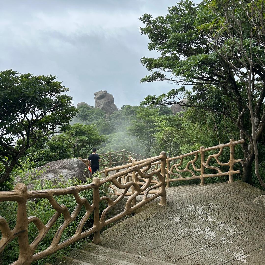 🐷丢了幸福的猪🐷