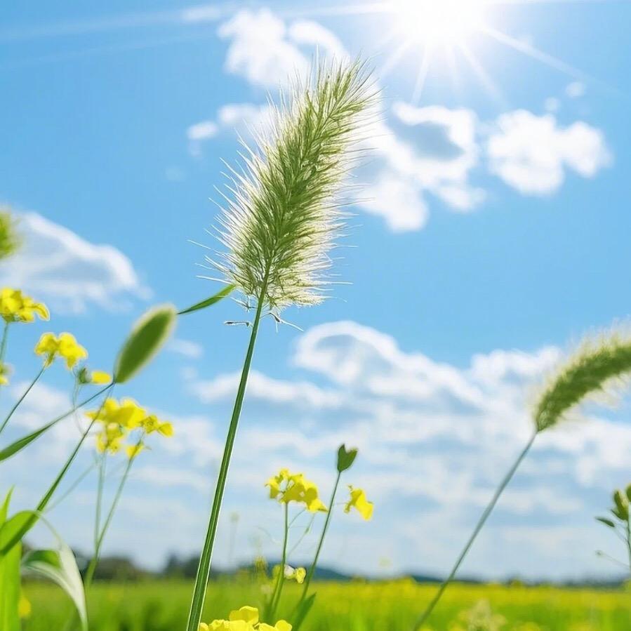 热爱生活的小姐姐