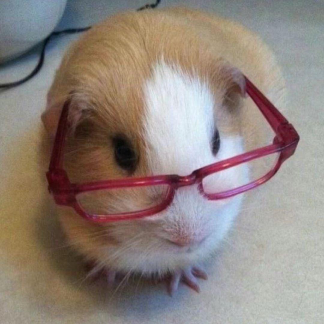 揪咪（带货版..