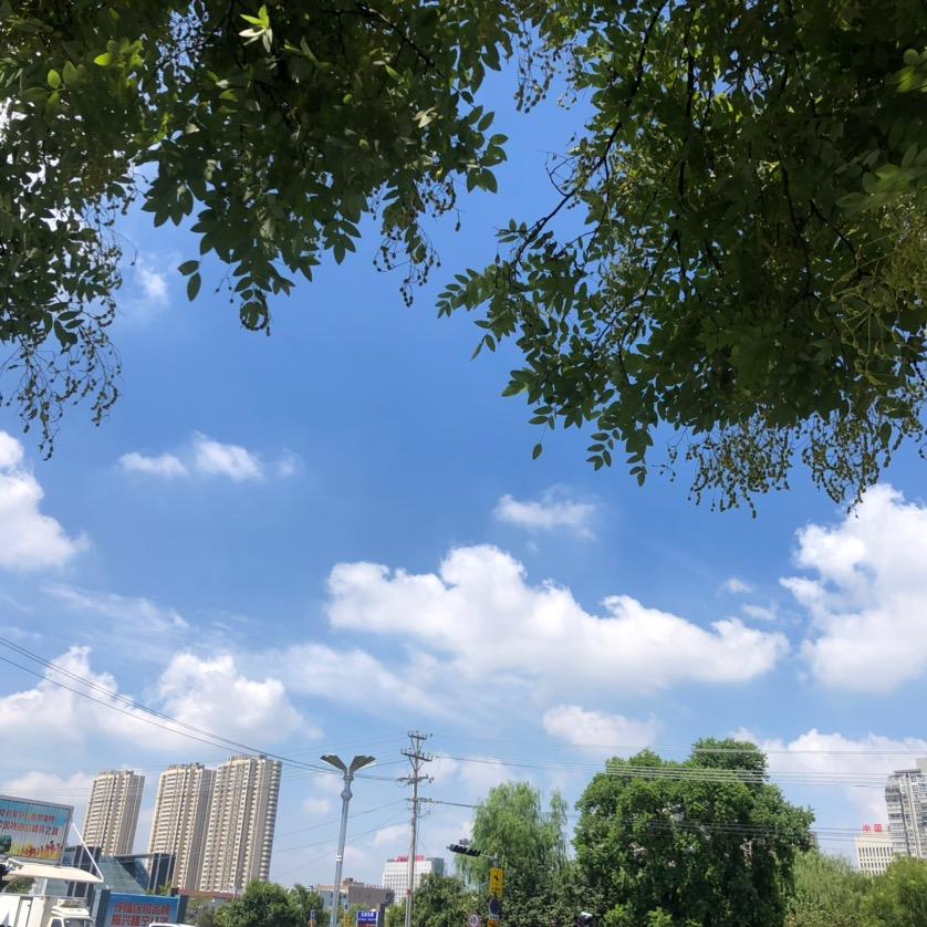 智慧树上的糊涂虫