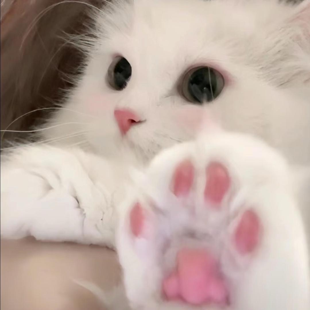Vu