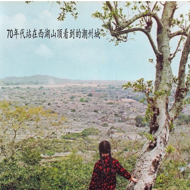 好久不见的H