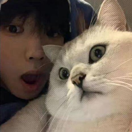 劤