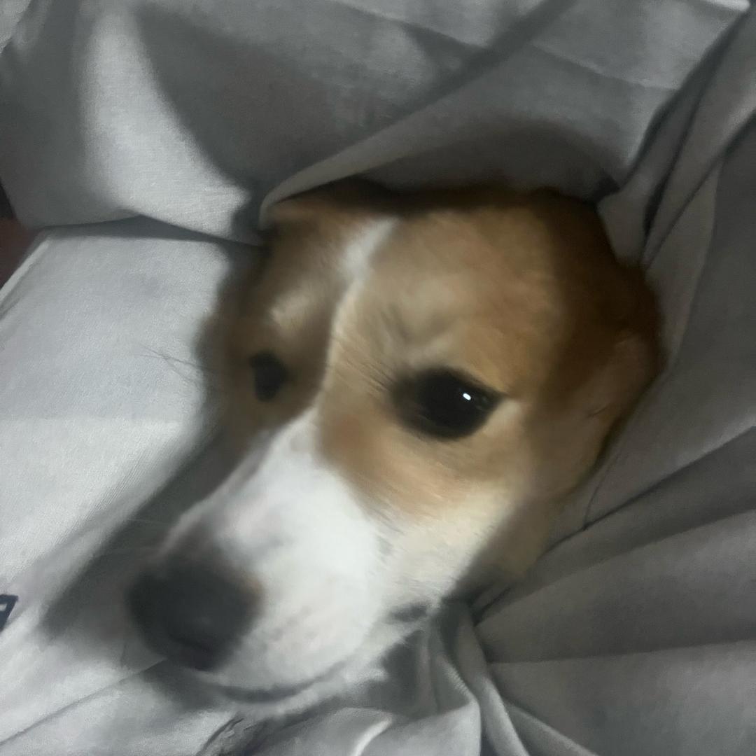 有基
