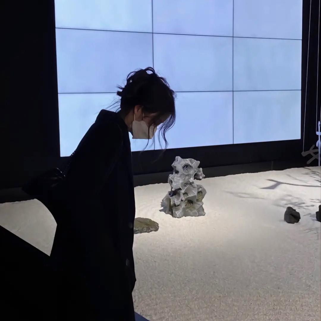 宠愛