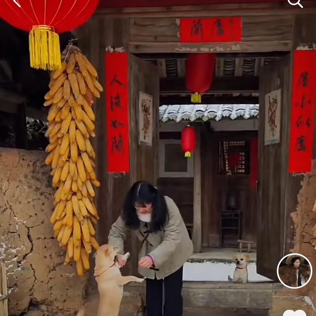 曾子衿🌼