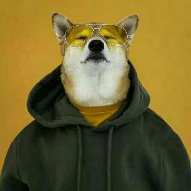不動明-
