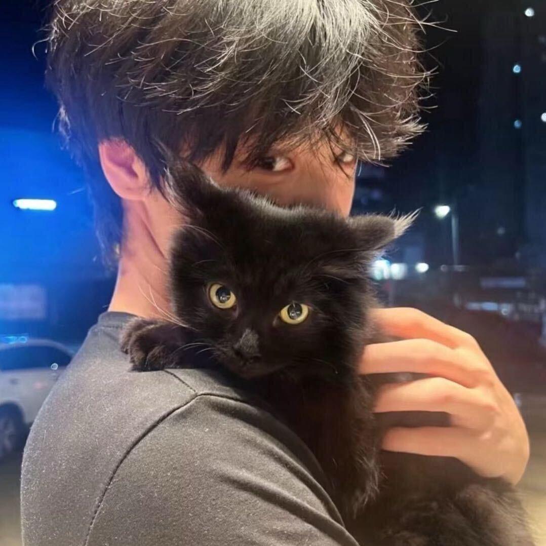 猥琐美羊羊