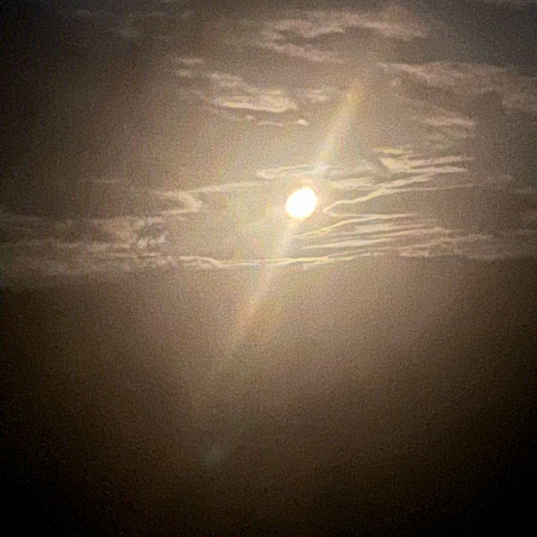 曾⚔️经💘拥🈶