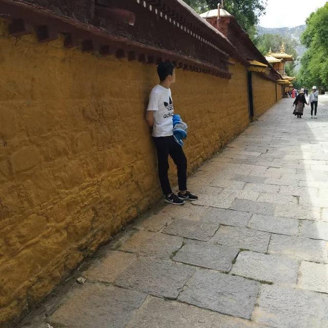 风不会停息