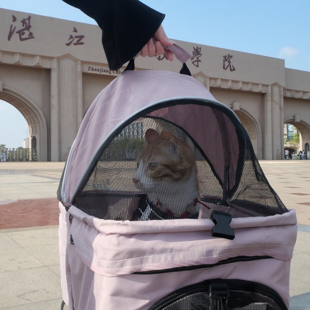 不高兴和没头脑