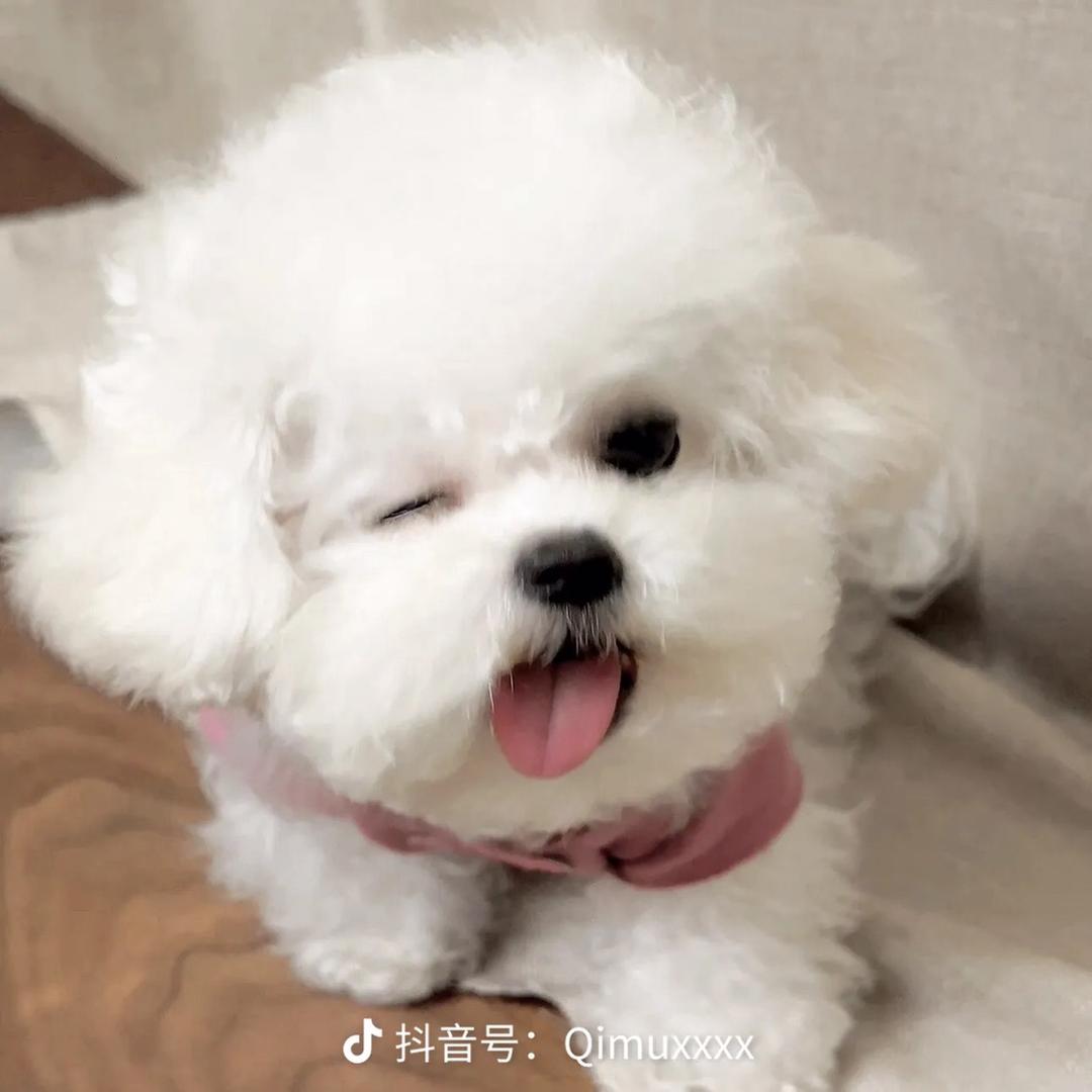 吃一口草莓1