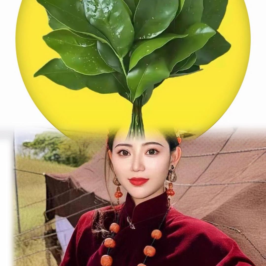藏版舞媚娘
