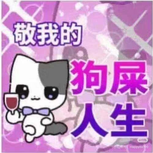 什么时候放鸽子