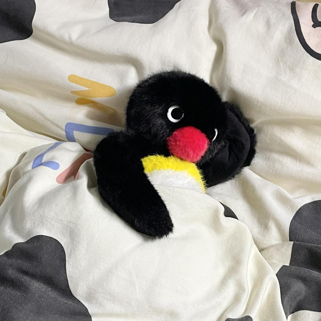 不是企鹅