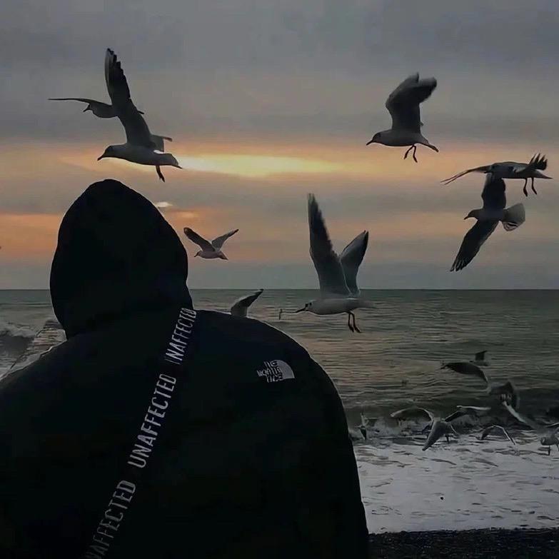 bmyndm