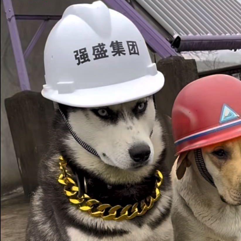 呵呵..