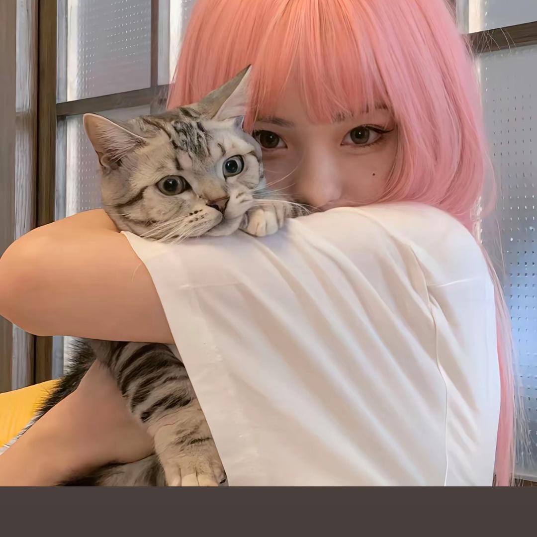 小黄啊